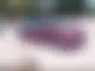 Vehicle Image- 2016 Honda Accord