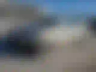 Vehicle Image- 2014 Honda Accord