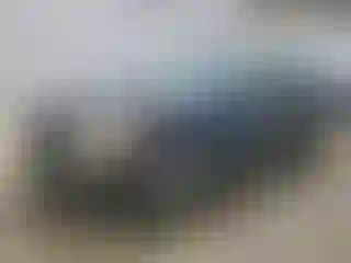 Vehicle Image- 2014 Honda Accord