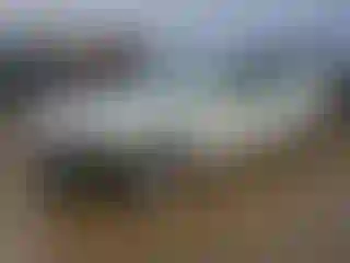 Vehicle Image- 2013 Honda Accord