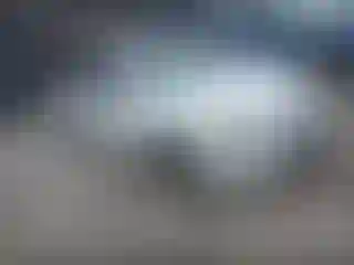 Vehicle Image- 2013 Honda Accord