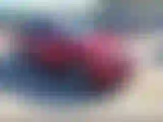 Vehicle Image- 2009 Honda Accord