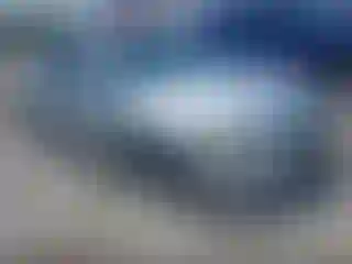 Vehicle Image- 2008 Honda Accord