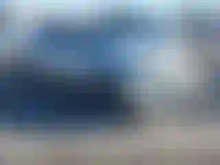 Vehicle Image- 2008 Honda Accord