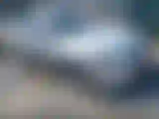 Vehicle Image- 2008 Honda Accord