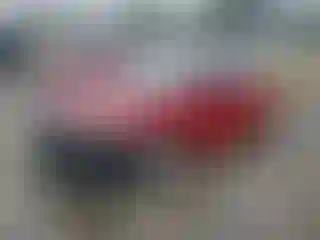 Vehicle Image- 2010 Honda Accord