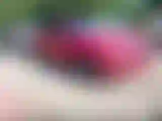 Vehicle Image- 2010 Honda Accord