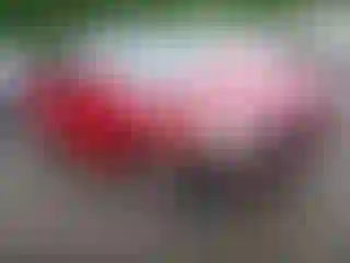 Vehicle Image- 2013 Honda Accord