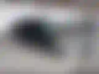 Vehicle Image- 2020 Honda Accord