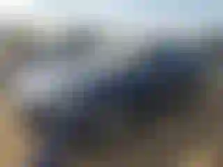 Vehicle Image- 2018 Honda Accord