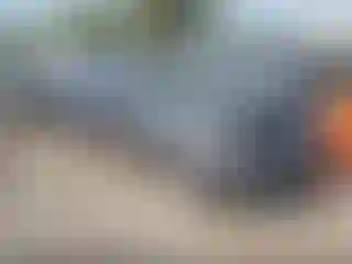 Vehicle Image- 2020 Honda Accord