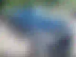 Vehicle Image- 2021 Honda Accord