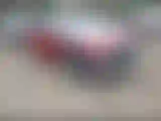 Vehicle Image- 2018 Honda Accord