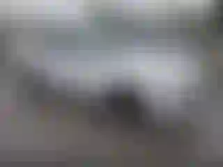 Vehicle Image- 2019 Honda Accord