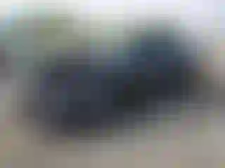 Vehicle Image- 2022 Honda Accord