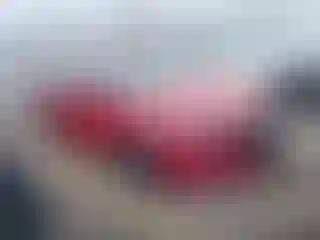 Vehicle Image- 2019 Honda Accord