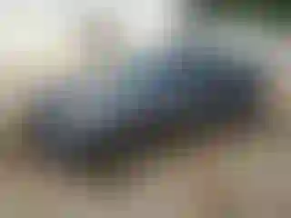 Vehicle Image- 2020 Honda Accord