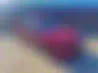 Vehicle Image- 2021 Honda Accord