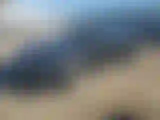 Vehicle Image- 2022 Honda Accord