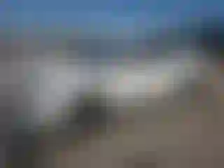 Vehicle Image- 2018 Honda Accord