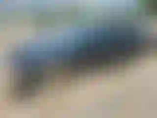 Vehicle Image- 2019 Honda Accord