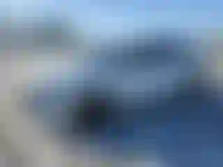 Vehicle Image- 2019 Honda Accord