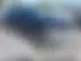 Vehicle Image- 2020 Honda Accord