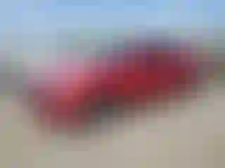 Vehicle Image- 2020 Honda Accord