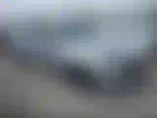 Vehicle Image- 2019 Honda Accord