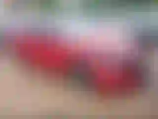 Vehicle Image- 2021 Honda Accord