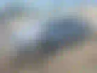 Vehicle Image- 2021 Honda Accord