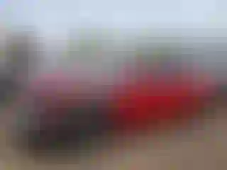Vehicle Image- 2019 Honda Accord