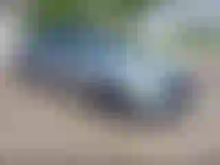 Vehicle Image- 2020 Honda Accord