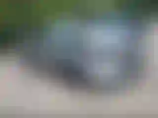 Vehicle Image- 2018 Honda Accord