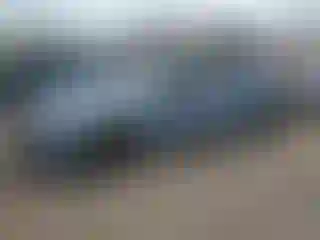 Vehicle Image- 2022 Honda Accord