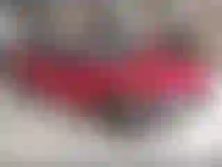 Vehicle Image- 2022 Honda Accord
