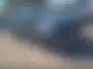 Vehicle Image- 2020 Honda Accord