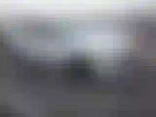 Vehicle Image- 2021 Honda Accord