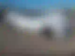 Vehicle Image- 2021 Honda Accord