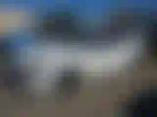 Vehicle Image- 2021 Honda Accord