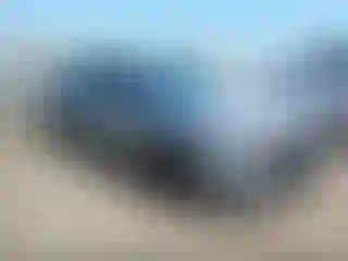 Vehicle Image- 2022 Honda Accord
