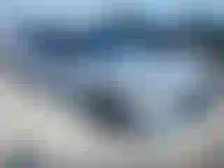 Vehicle Image- 2021 Honda Accord