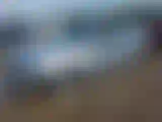 Vehicle Image- 2020 Honda Accord
