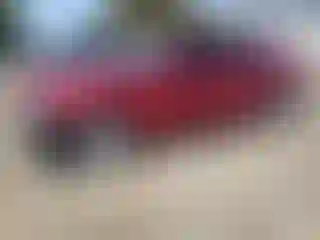 Vehicle Image- 2018 Honda Accord