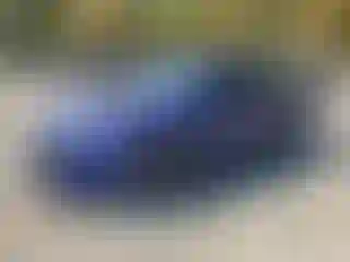 Vehicle Image- 2022 Honda Accord