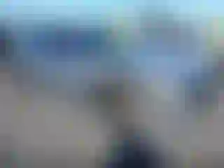 Vehicle Image- 2021 Honda Accord