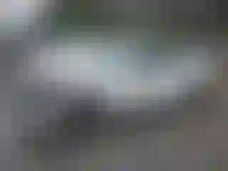 Vehicle Image- 2019 Honda Accord