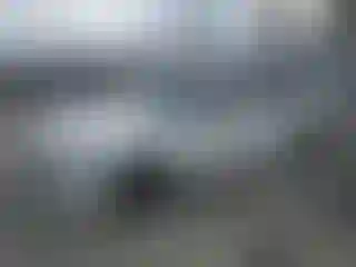 Vehicle Image- 2021 Honda Accord
