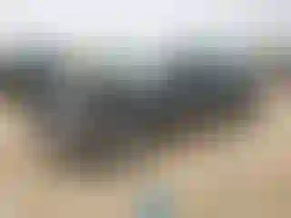Vehicle Image- 2021 Honda Accord