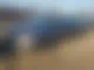 Vehicle Image- 2021 Honda Accord